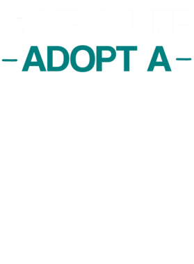 https://s3.us-west-1.wasabisys.com/ecart-content/dotkansas.com/overlays/370/148/37014839.png img