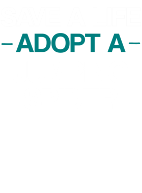 https://s3.us-west-1.wasabisys.com/ecart-content/dotkansas.com/overlays/370/148/37014888.png img
