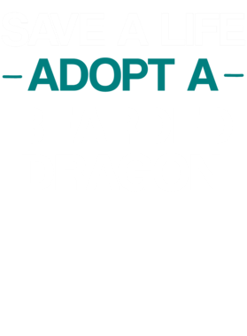 https://s3.us-west-1.wasabisys.com/ecart-content/dotkansas.com/overlays/370/149/37014911.png img