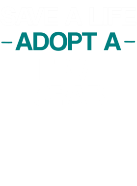 https://s3.us-west-1.wasabisys.com/ecart-content/dotkansas.com/overlays/370/149/37014936.png img
