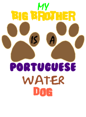https://s3.us-west-1.wasabisys.com/ecart-content/dotkansas.com/overlays/370/164/37016484.png img