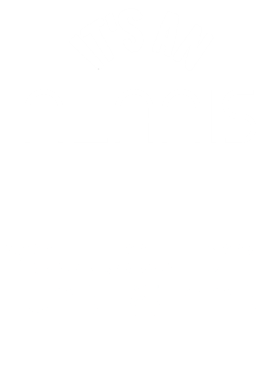 https://s3.us-west-1.wasabisys.com/ecart-content/dotkansas.com/overlays/370/198/37019870.png img