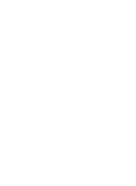 https://s3.us-west-1.wasabisys.com/ecart-content/dotkansas.com/overlays/370/273/37027330.png img