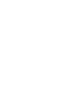 https://s3.us-west-1.wasabisys.com/ecart-content/dotkansas.com/overlays/370/351/37035190.png img