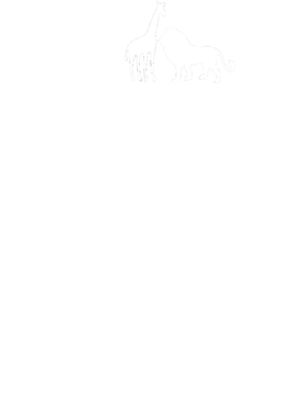 https://s3.us-west-1.wasabisys.com/ecart-content/dotkansas.com/overlays/370/404/37040450.png img