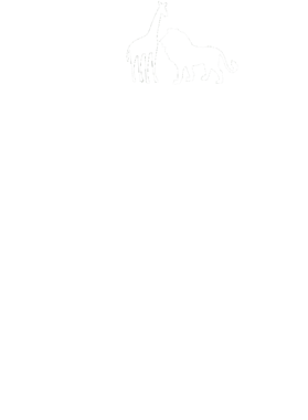 https://s3.us-west-1.wasabisys.com/ecart-content/dotkansas.com/overlays/370/404/37040466.png img