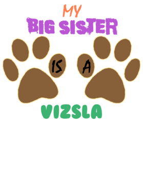 https://s3.us-west-1.wasabisys.com/ecart-content/dotkansas.com/overlays/370/439/37043951.png img