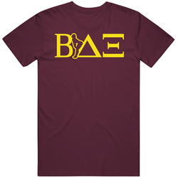 Beta Delta Xi American Pie T Shirt