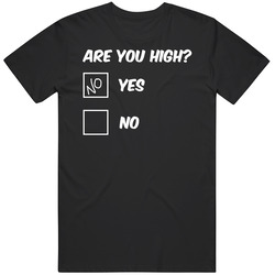 Are You High Funny Stoner 420 Friendly T Shirt