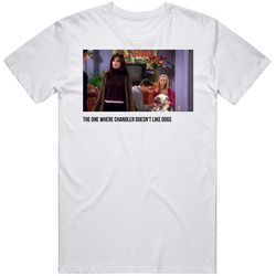 S07e08 The One Where Chandler Doesn't Like Dogs Friends Tv Show F