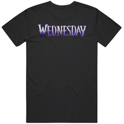 Wednesday Tv Show Logo T Shirt