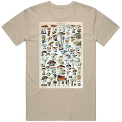 Edible Mushrooms Champignons Chart T Shirt
