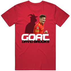 David Brooks Goat Greatest Of All Time Wales Soccer T Shirt David Brooks Goat Greatest Of All Time Wales Soccer T Shirt