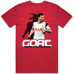 Pierre Emile Hojbjerg Denmark Soccer Goat T Shirt Pierre Emile Hojbjerg Denmark Soccer Goat T Shirt