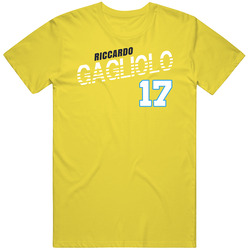 Riccardo Gagliolo 17 Sweden Soccer Team Player T Shirt