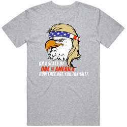 On A Scale Of One To America Funny T Shirt