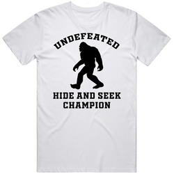 Undefeated Hide And Seek Champion T Shirt