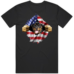 Rottweiler Hands Tearing Us Flag T Shirt Rottweiler Hands Tearing Us Flag T Shirt