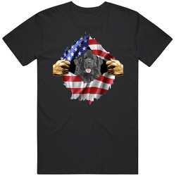 Newfoundland Dog Hands Tearing Us Flag T Shirt Newfoundland Dog Hands Tearing Us Flag T Shirt