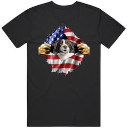 Collie Hands Tearing Us Flag T Shirt Collie Hands Tearing Us Flag T Shirt