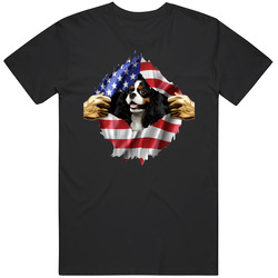 Cavalier King Charles Spaniel Hands Tearing Us Flag T Shirt Cavalier King Charles Spaniel Hands Tearing Us Flag T Shirt