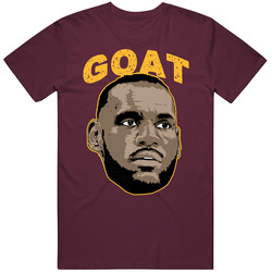 Lebron James Cleveland Basketball Player Goat T Shirt