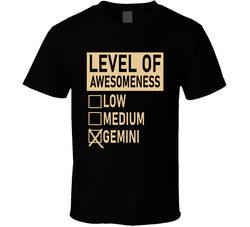 Level Of Awesome Low Medium Gemini Zodiac Sign T Shirt Level Of Awesome Low Medium Gemini Zodiac Sign T Shirt