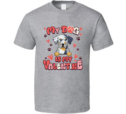 Catahoula Leopard My Dog Is My Valentine Funny T Shirt