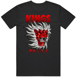 Lebron11heat-standard T Shirt