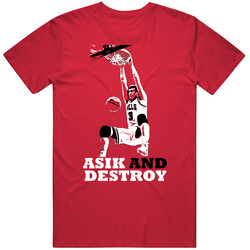 Omer Asik And Destroy Basketball Chicago Turkey T Shirt