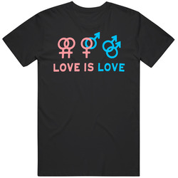 Love Is Love Gay Pride Lesbian T Shirt Love Is Love Gay Pride Lesbian T Shirt