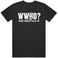 What Would Tikal The Echidna Do Sonic The Hedgehog Fan T Shirt