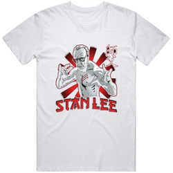 Stan Lee Marvel Comic Con Logo Hero Kung Fu Fighting Pose Hero Graphic T Shirt