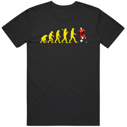 Eden Hazard Belgium Evulotion Euro Cup Soccer Football T Shirt