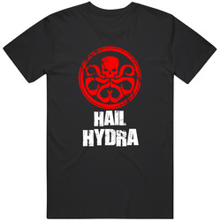 Hail Hydra Captain America Shirt, Comic Book Shirt, Birthday T Shirt Hail Hydra Captain America Shirt, Comic Book Shirt, Birthday T Shirt