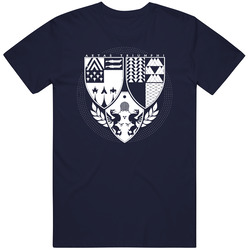 Destiny Age Of Triumph Vintage T Shirt