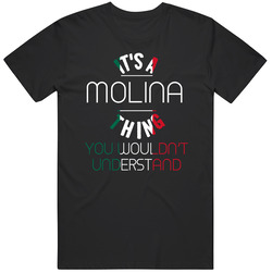 It's A Molina Thing You Wouldn't Understand Mexican Name T Shirt