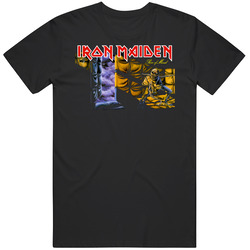 Tc Iron Df8usdjffd T Shirt
