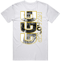 Golovkin Team Ggg Wbc Wbo Champion Canelo Fight T Shirt