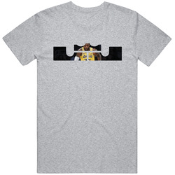 Bk00014 Lj Lebron Gray T Shirt
