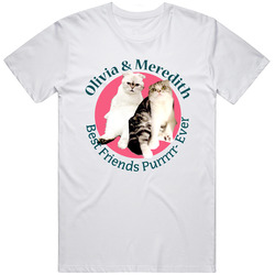 Olivia And Meredith Best Friends Deadpool Ryan Reynolds T Shirt
