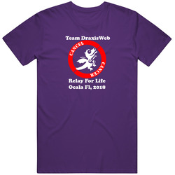 Team Draxisweb 2018 T Shirt