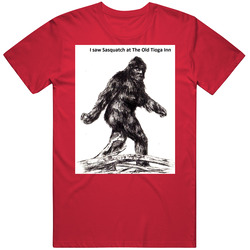 I Saw Sasquatch At Ricketts Glen State Park T Shirt