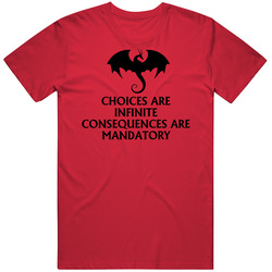 Choices Are Infinite Consequences Are Mandatory Funny Dungeon Master T Shirt Choices Are Infinite Consequences Are Mandatory Funny Dungeon Master T Shirt