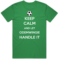 Peter Odemwingie Nigeria Fw Funny Handle It World Cup Soccer unisex vintage irish green T Shirt
