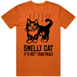 Friends Sitcom Smelly Cat Classic Television T Shirt