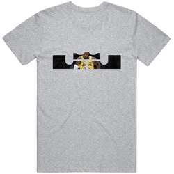 Bk00014 Lj Lebron Hoddie Gray Unisex Cotton Tee Classic T Shirt