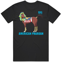 Wex American Sdf9sjdfd Unisex Cotton Tee Classic T Shirt