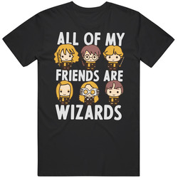 Harry Potter All Of My Friends Are Wizards Unisex Cotton Tee Classic T Shirt