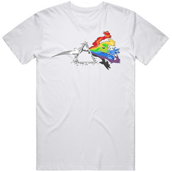 Dark Side Of The Moon Woman T Shirt